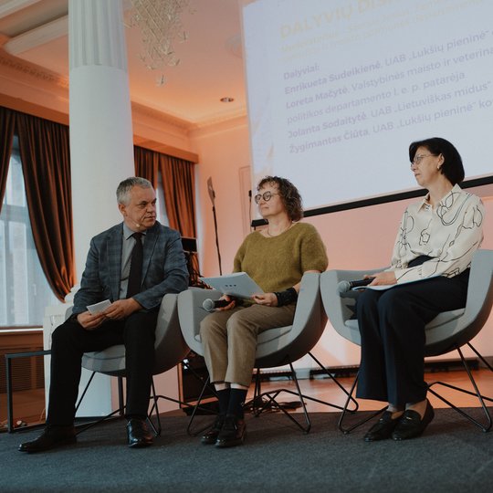 Konferencijos akimirka.