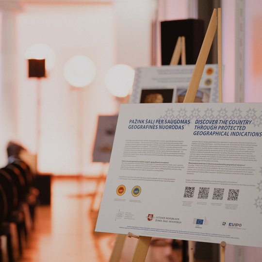 Konferencijos akimirka.