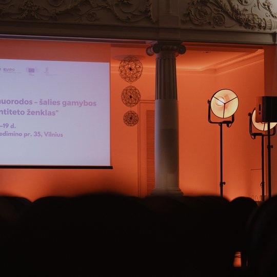 Konferencijos akimirka.