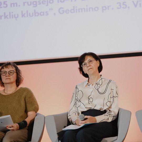Konferencijos akimirka.