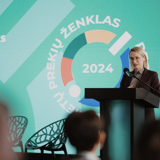 Konferencijos akimirka.