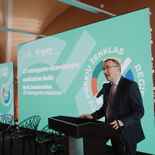 Konferencijos akimirka.