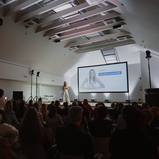 Konferencijos akimirka.