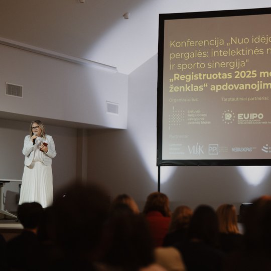 Konferencijos akimirka.