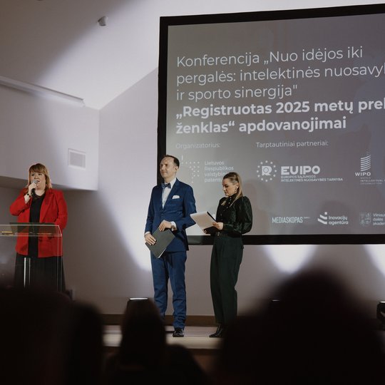Konferencijos akimirka.