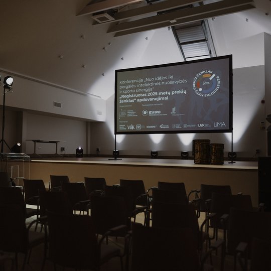 Konferencijos akimirka.