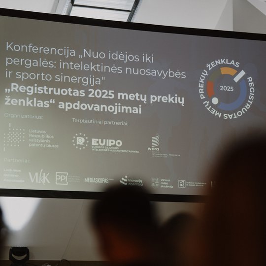 Konferencijos akimirka.
