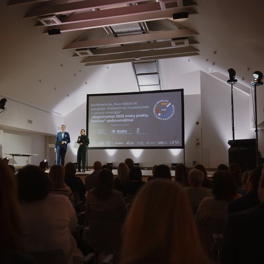 Konferencijos akimirka.