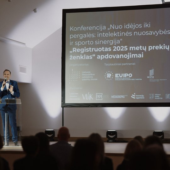 Konferencijos akimirka.